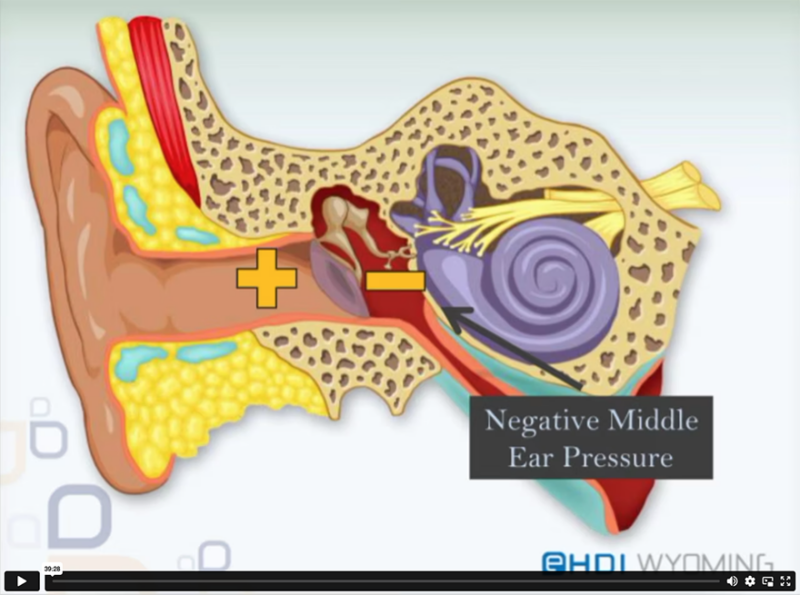 immittance video graphic for online course. Image shows a drawing of the inner and outer ear.