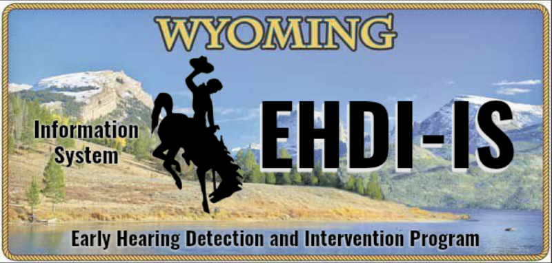 Imagen de una matrícula de Wyoming con "EHDI-IS" escrito en la matrícula.